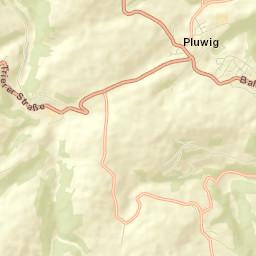 Pluwig Street Map