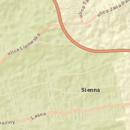 Leśna Street Map