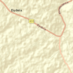 Dydnia Street Map