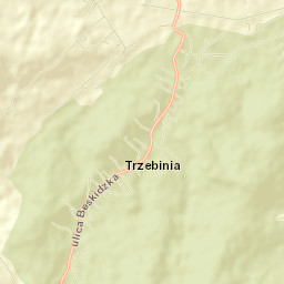 Trzebinia Street Map