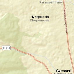 Peremyshlyany Street Map