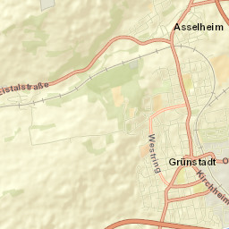 Grünstadt Street Map