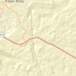 Velikiye Borki Street Map