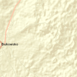 Bukowsko Street Map