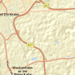 Wachenheim Street Map