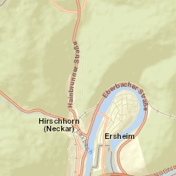 Hirschhorn Street Map