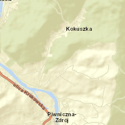 Piwniczna-Zdrój Street Map