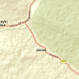 Ustrzyki Dolne Street Map