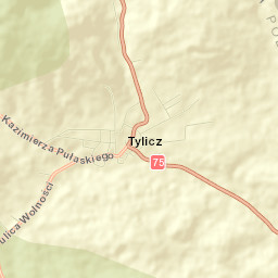 Tylicz Street Map