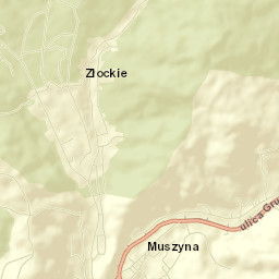 Muszyna Street Map