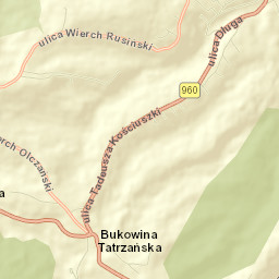 Bukowina Tatrzańska Street Map