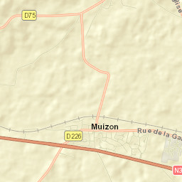 Muizon Street Map