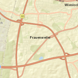 Wiesloch Street Map