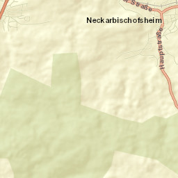 Neckarbischofsheim Street Map