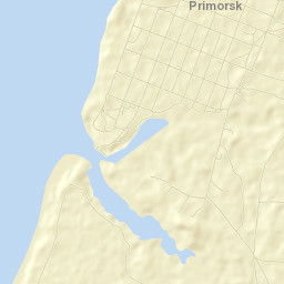 Primorsk Street Map