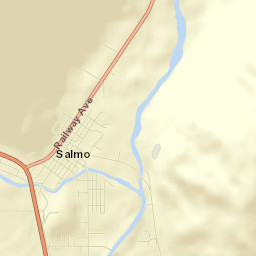 Salmo Street Map