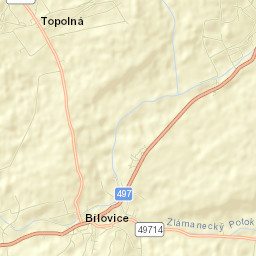 Topolná Street Map