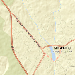 Kopychyntsi Street Map