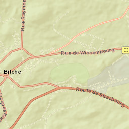 Bitche Street Map