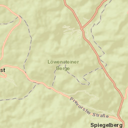 Spiegelberg Street Map