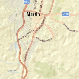 Martin Street Map