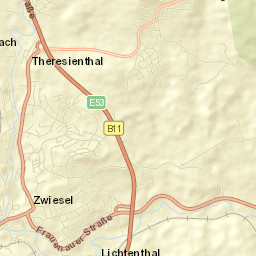 Zwiesel Street Map