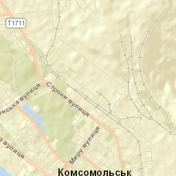 Horishni Plavni Street Map