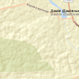 Dashiv Street Map