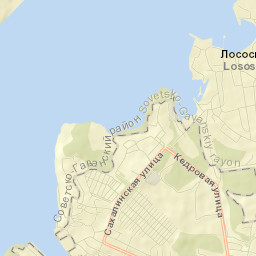 Lososina Street Map