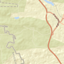Fremdingen Street Map