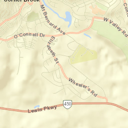 Corner Brook Street Map