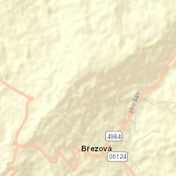 Březová Street Map