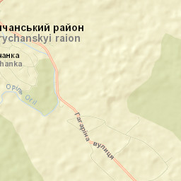 Tsarychans’kyy Rayon Street Map
