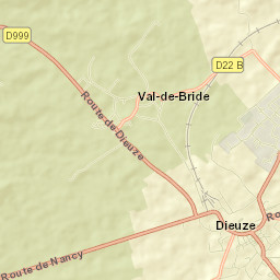 Dieuze Street Map