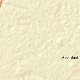 Abondant Street Map