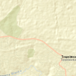 Toshkivka Street Map