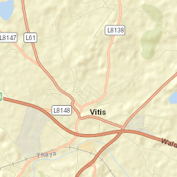 Vitis Street Map