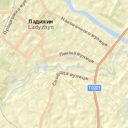 Ladyzhyn Street Map
