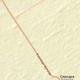 Spas’ke Street Map