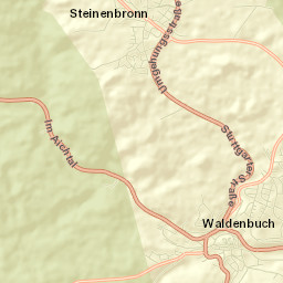 Waldenbuch Street Map