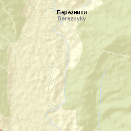 Bereznyky Street Map