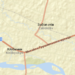 Zabolotiv Street Map
