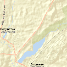 Vyshneve Street Map