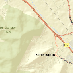 Berghaupten Street Map