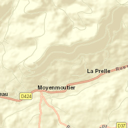 Moyenmoutier Street Map