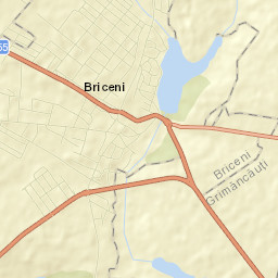Briceni Street Map