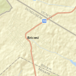 Briceni Street Map