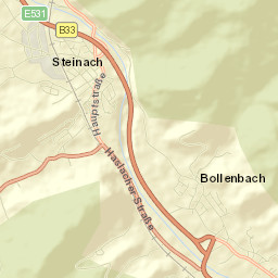 Steinach Street Map