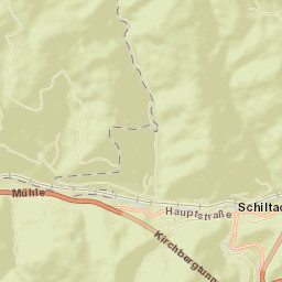 Schiltach Street Map