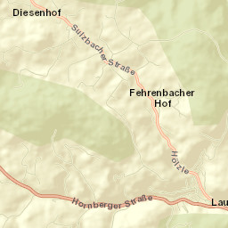 Lauterbach/Schwarzwald Street Map
